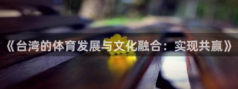 星速体育app下载安装官方最新版：《台湾的体育发展与文化融合：实现共赢》