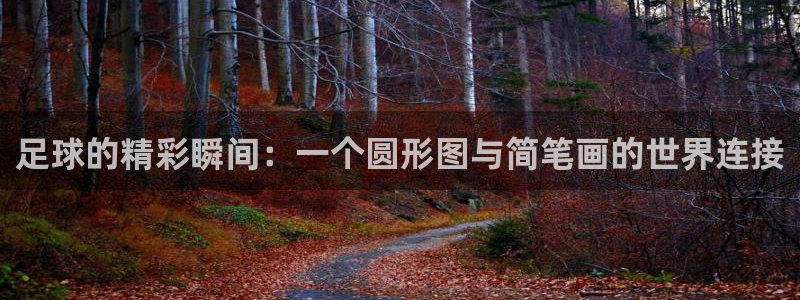 青岛星速体育文化有限公司：足球的精彩瞬间：一个圆形图与简笔画的世界连接