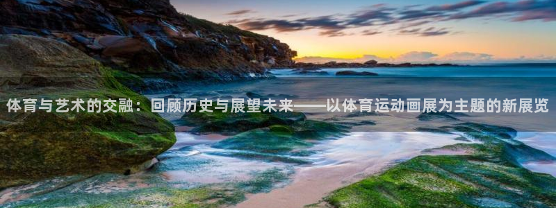 星速体育篮球直播：体育与艺术的交融：回顾历史与展望未来——以体育运动画展为主题的新展览