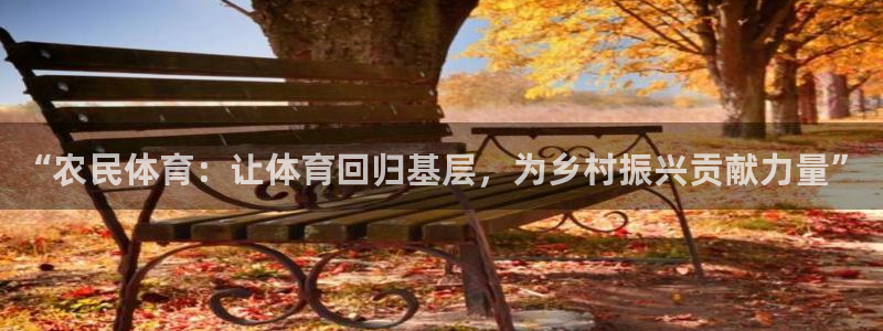 星速体育免费下载：“农民体育：让体育回归基层，为乡村振兴贡献力量”