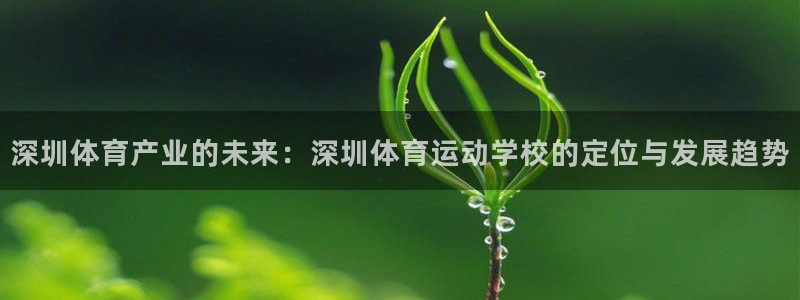 星速体育网脂1267碘top：深圳体育产业的未来：深圳体育运动学校的定位与发展趋势
